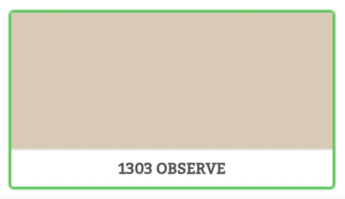 1303 - OBSERVE - 0.45 L - Maling