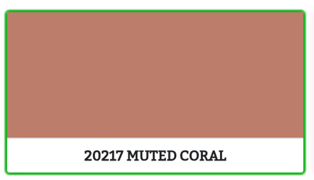 20217 - MUTED CORAL - 0.45 L - Maling