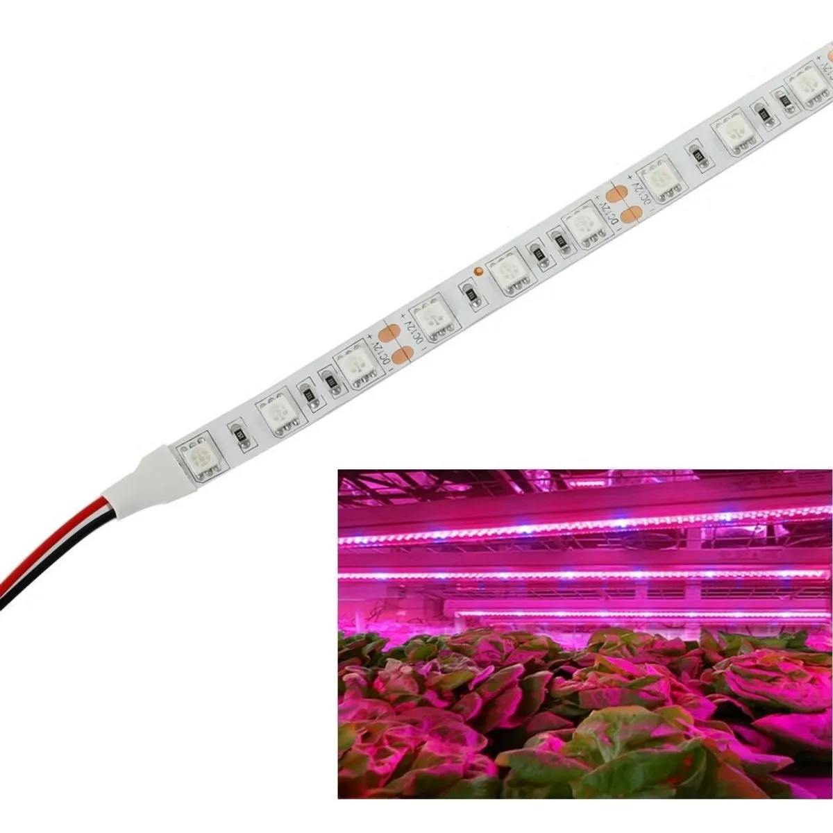 9,6W/m stænktæt vækst LED strip - 5m, 60 LED pr. meter, IP65