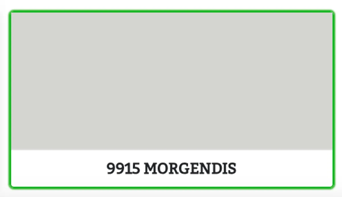 9915 - MORGENDIS - 0.45 L - Maling