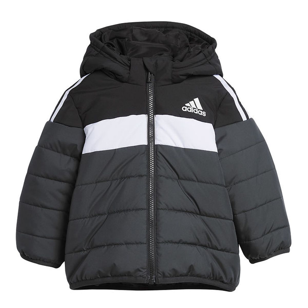 adidas Performance Dynejakke - IN F PAD JKT - Sort/Hvid