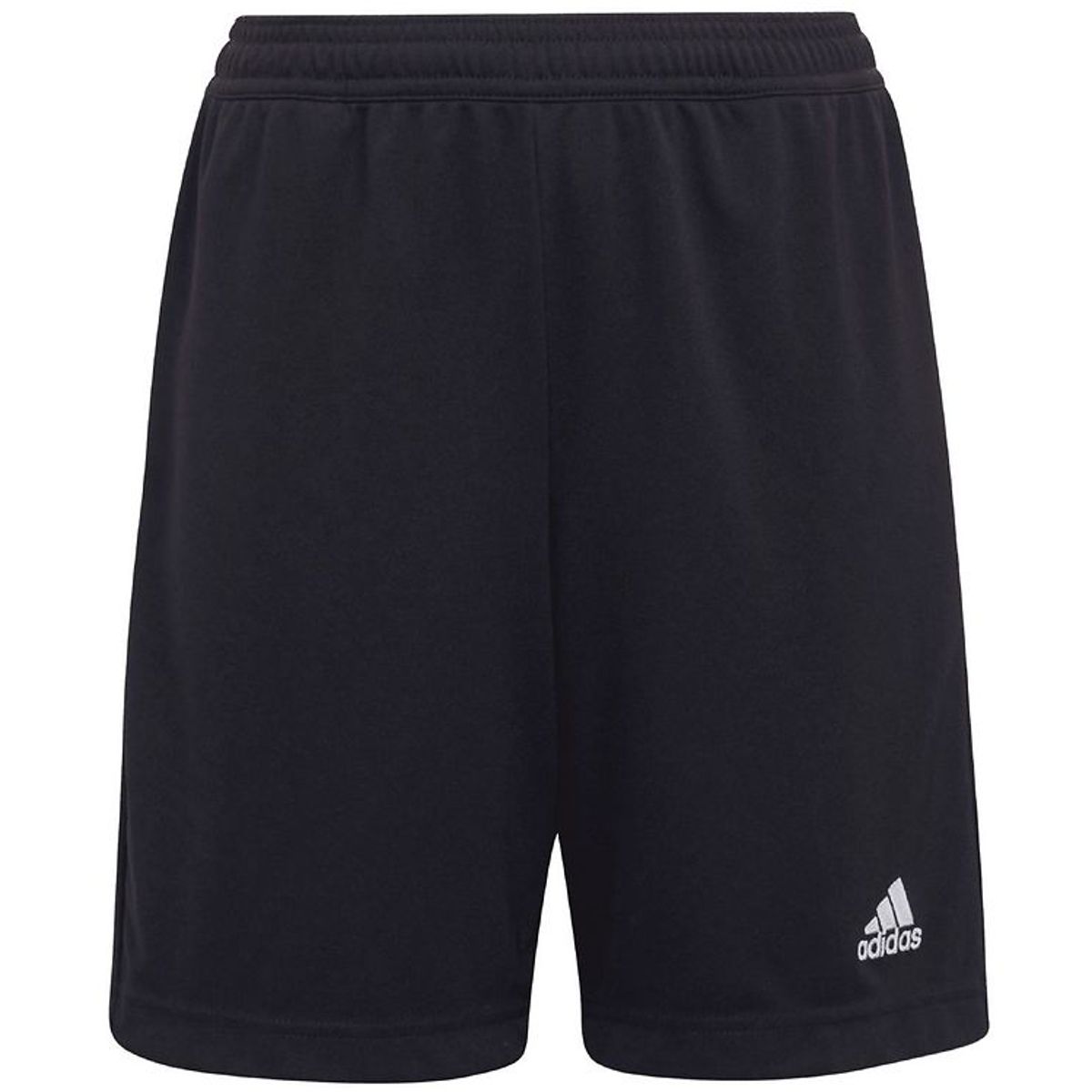 adidas Performance Shorts - Entrada 22 - Sort