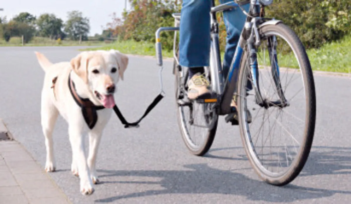 Afstandsholder til cyklen, m. fjeder