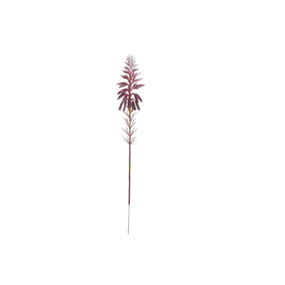 ALOE STILK LILLA 38CM