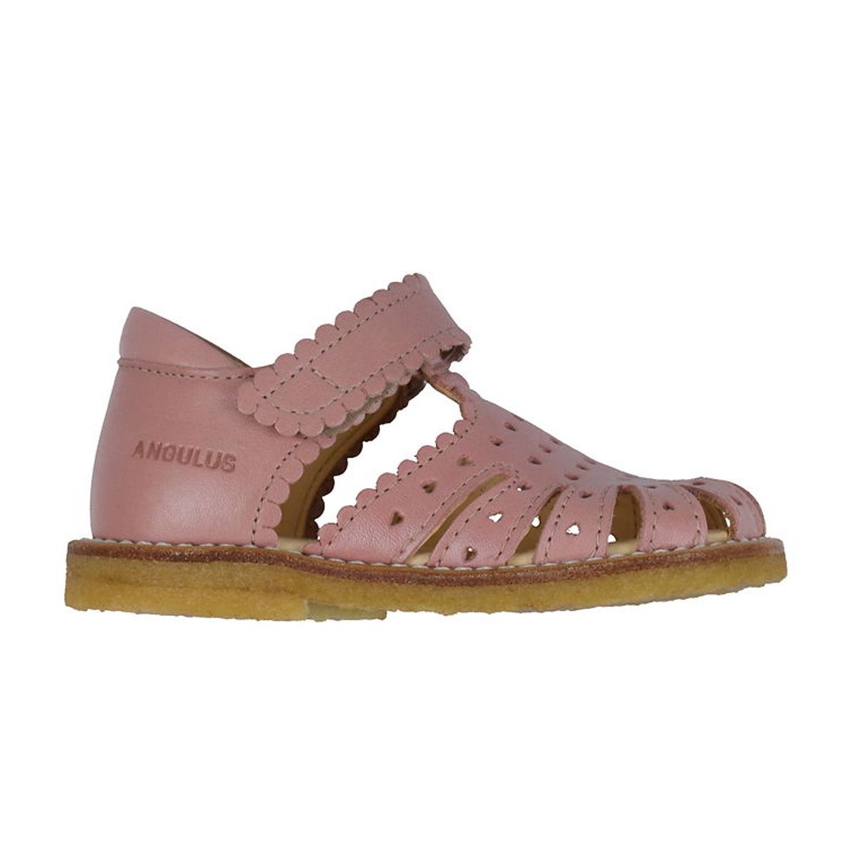 Angulus Sandal - Begynder - Rose