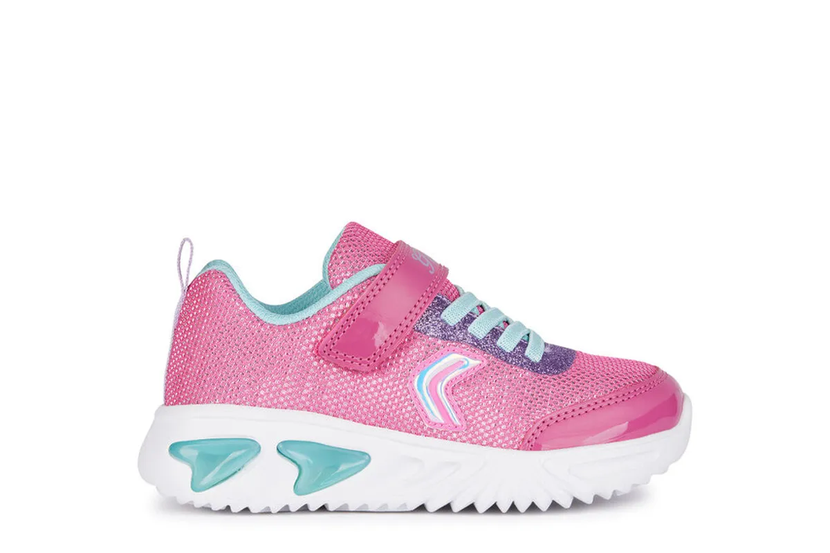 Assister - Fuchsia/Aqua - 33