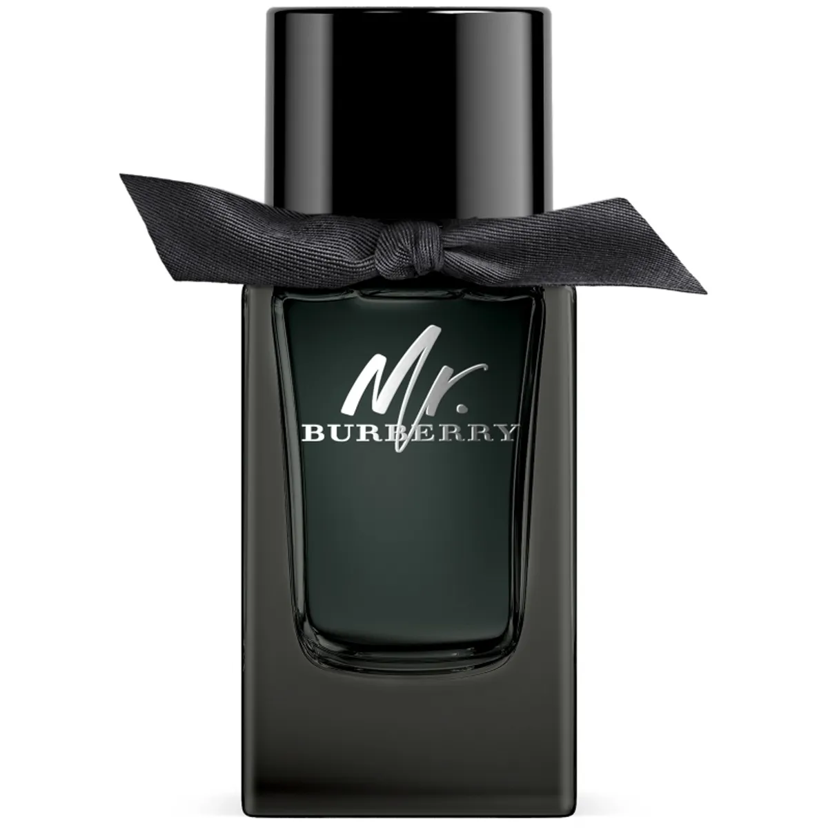 Burberry Mr. Burberry EDP 100 ml