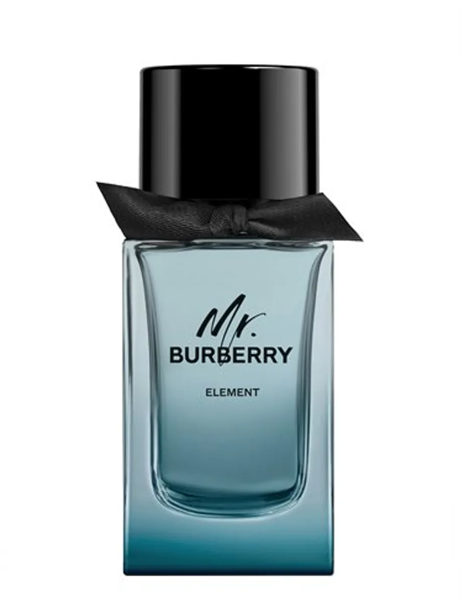 Burberry Mr Burberry Element Eau de toilette 100 ml