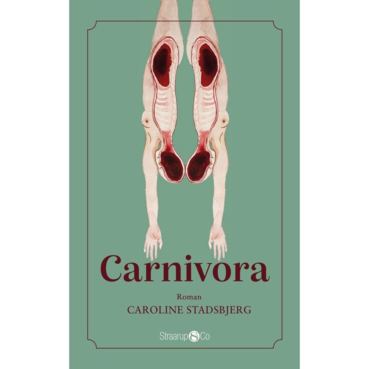 Carnivora