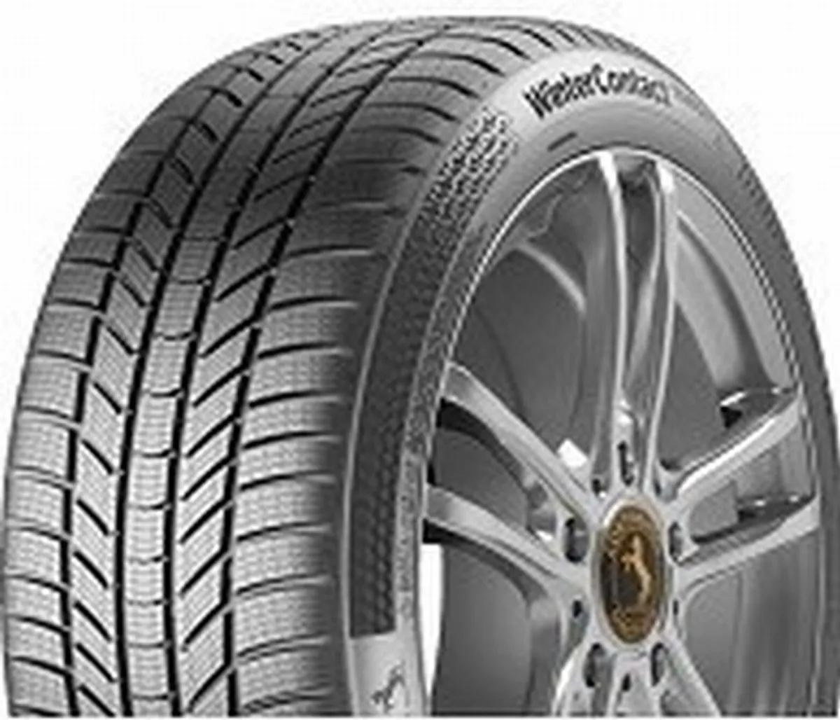 Continental WINTER TS 870 P 195/55R20