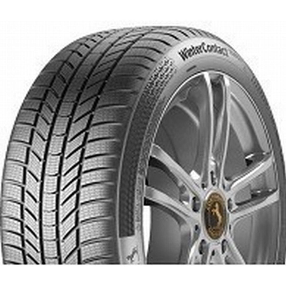 Continental WINTER TS 870 P 205/55R17