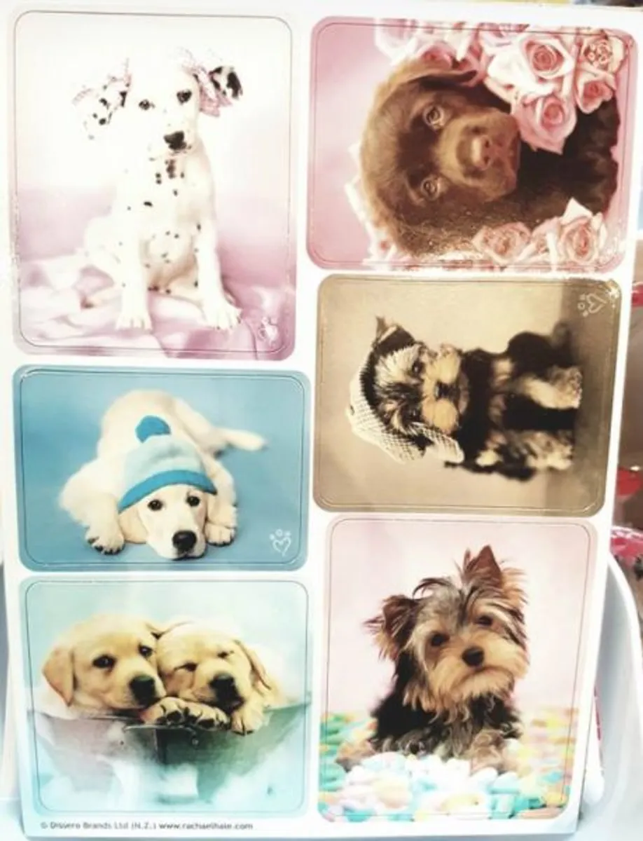 Cute Dogs - Refrigerator Magnet (Magnet)