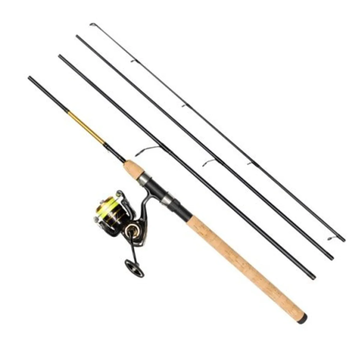 Daiwa Gold Rush LT 4-delt Sæt inkl. Line