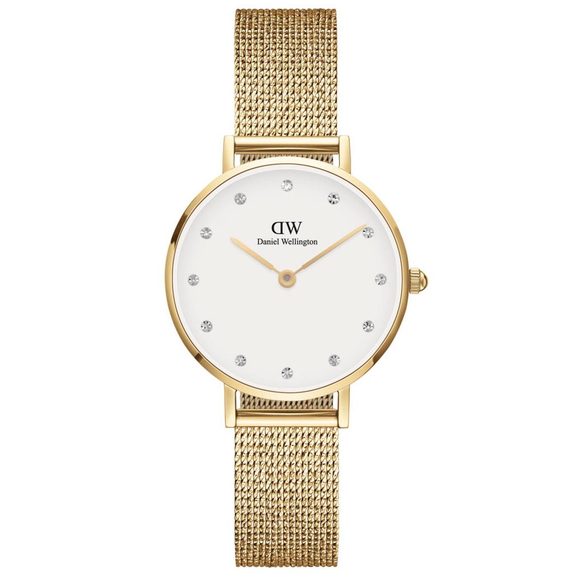 Daniel Wellington Petite Evergold Lumine