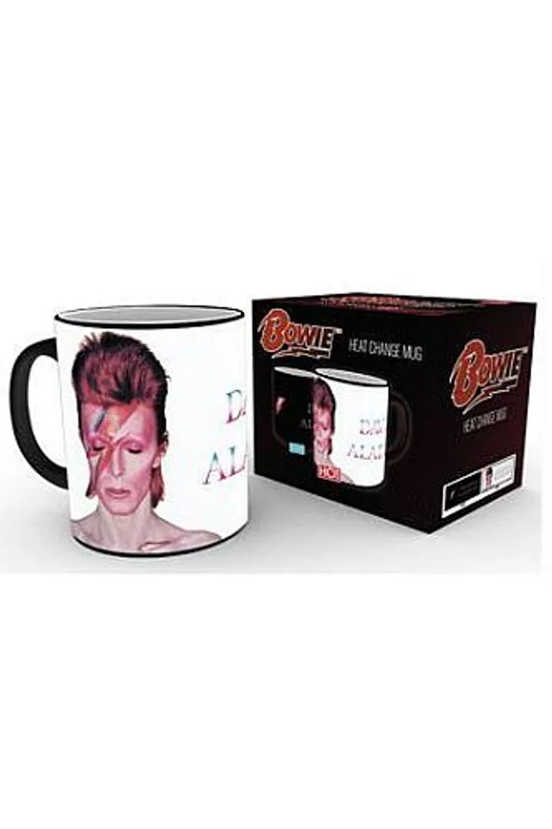 David Bowie - Aladdin Sane - Heat Change Mug