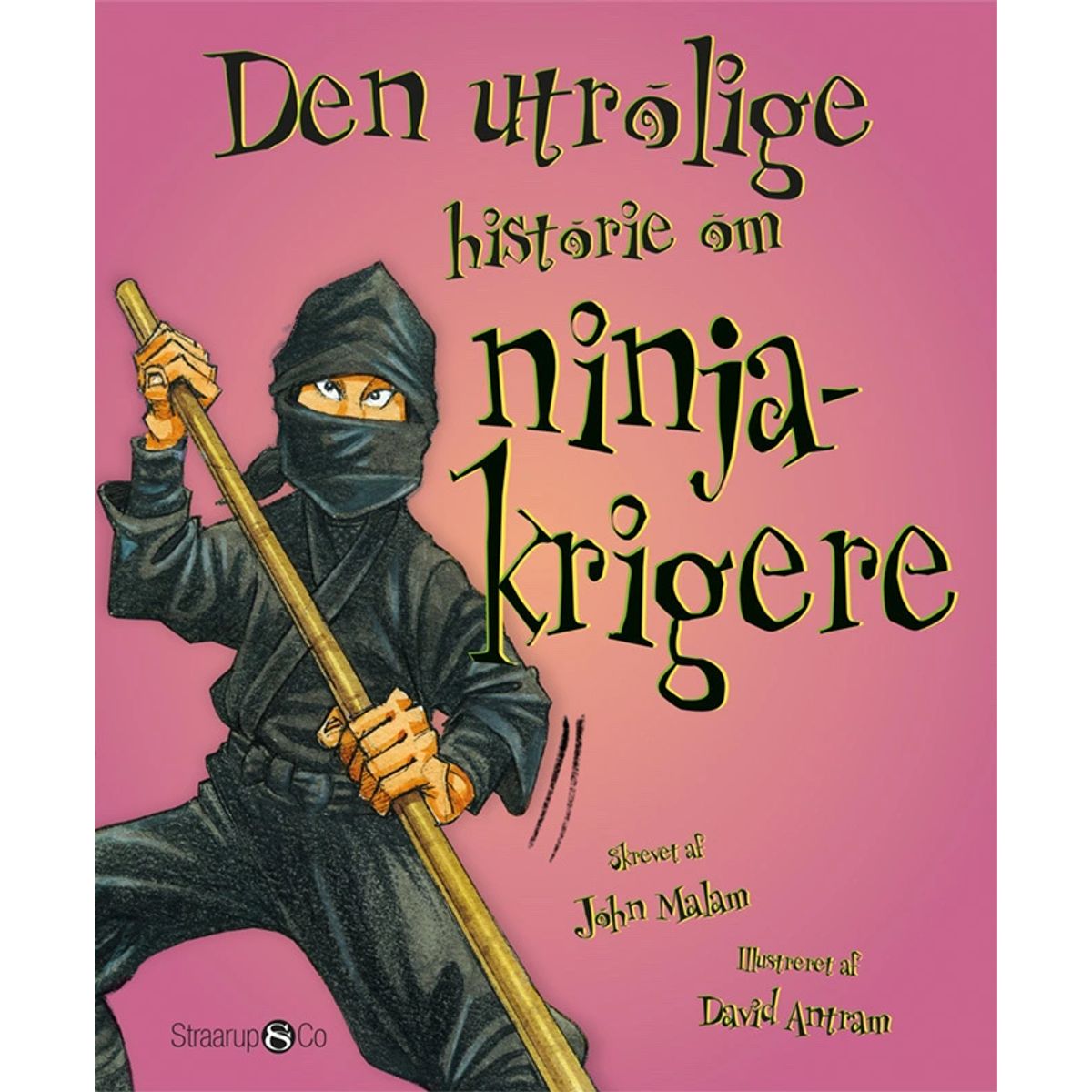 Den utrolige historie om ninjakrigere