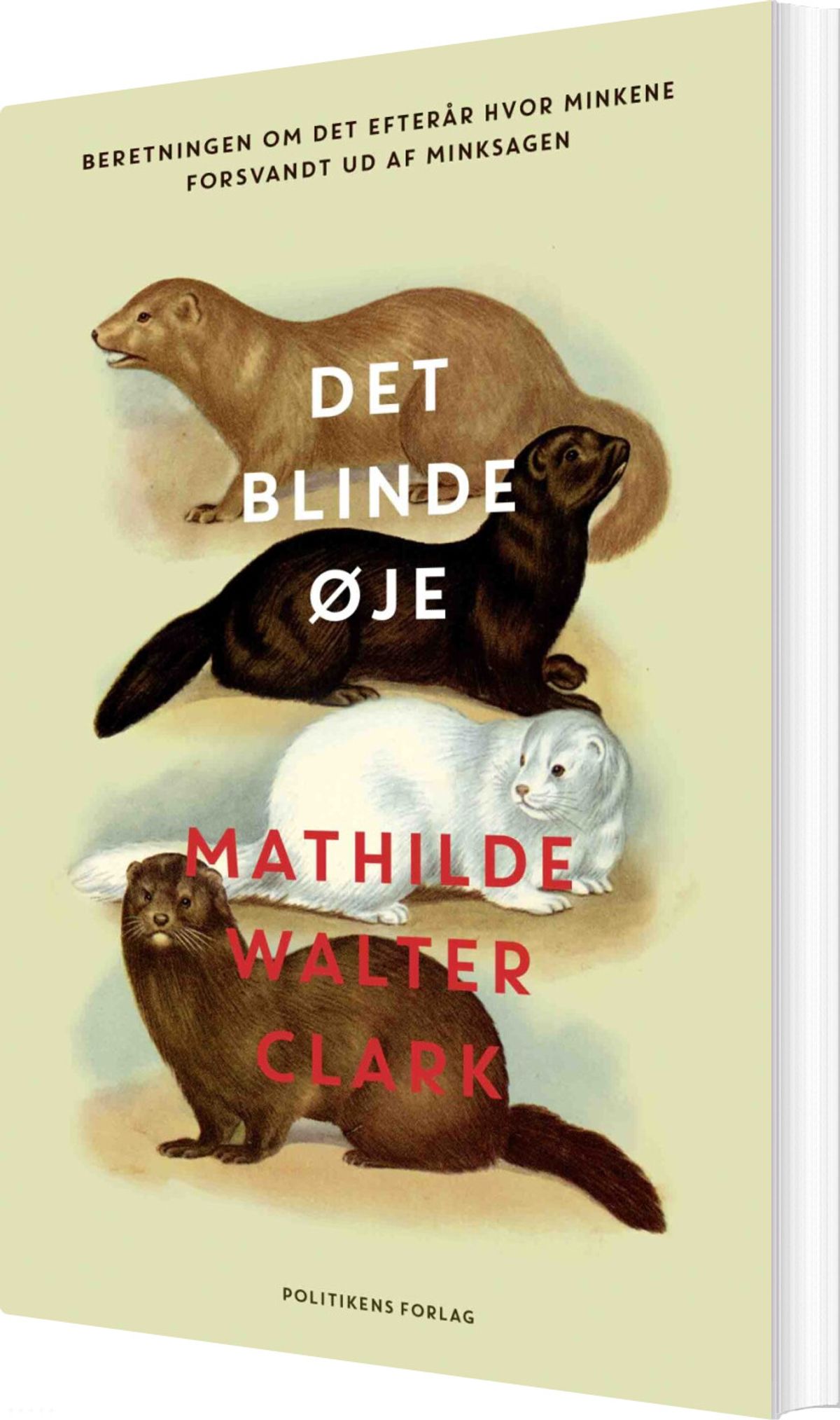 Det Blinde øje - Mathilde Walter Clark - Bog