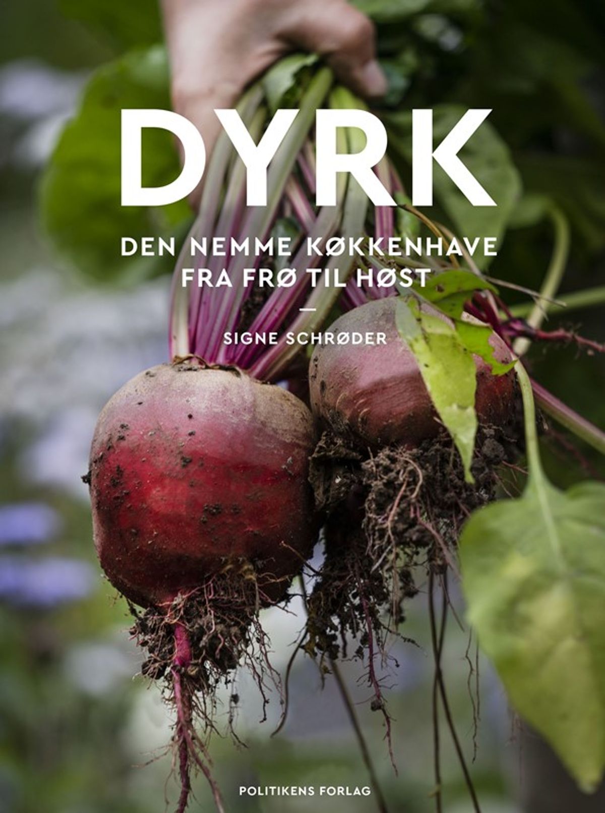 Dyrk