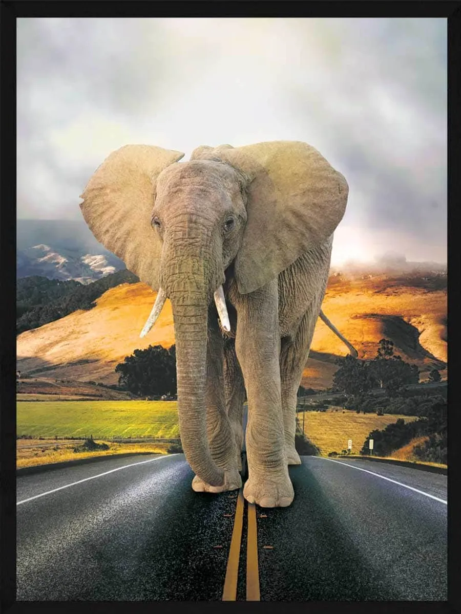 Elefant på vejen - Plakat