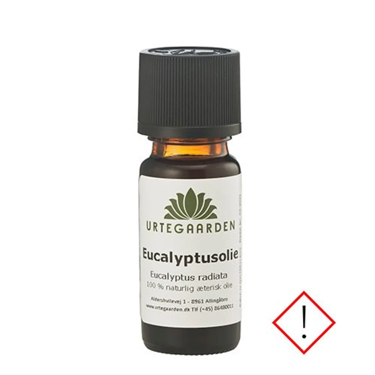 Eucalyptusolie - 10 ml