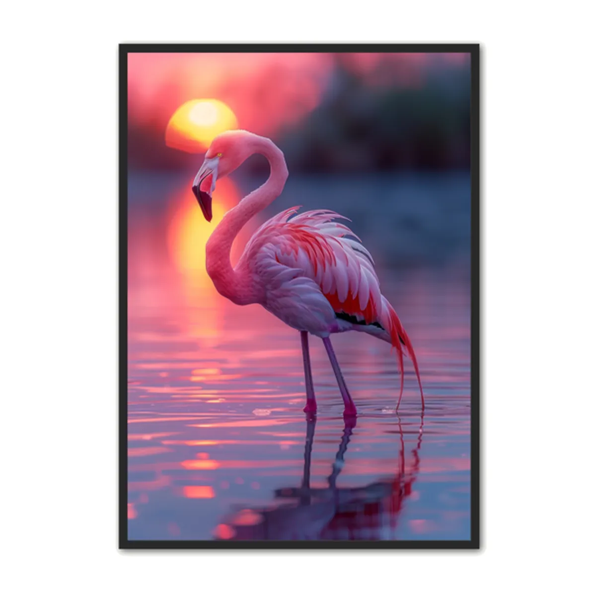 Flamingo Plakat 8 - Dyreplakater