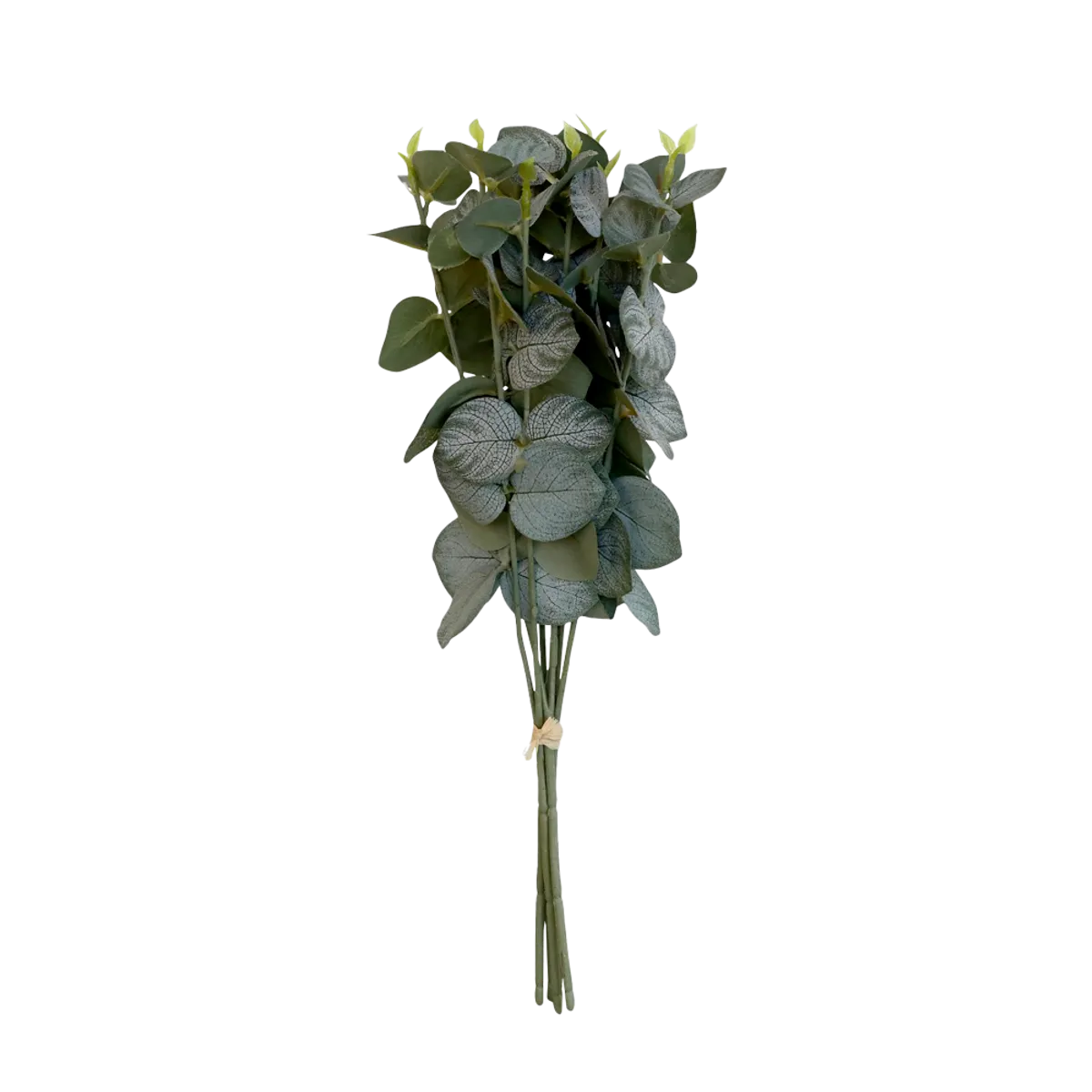 FLEUR Eucalyptus bouquet