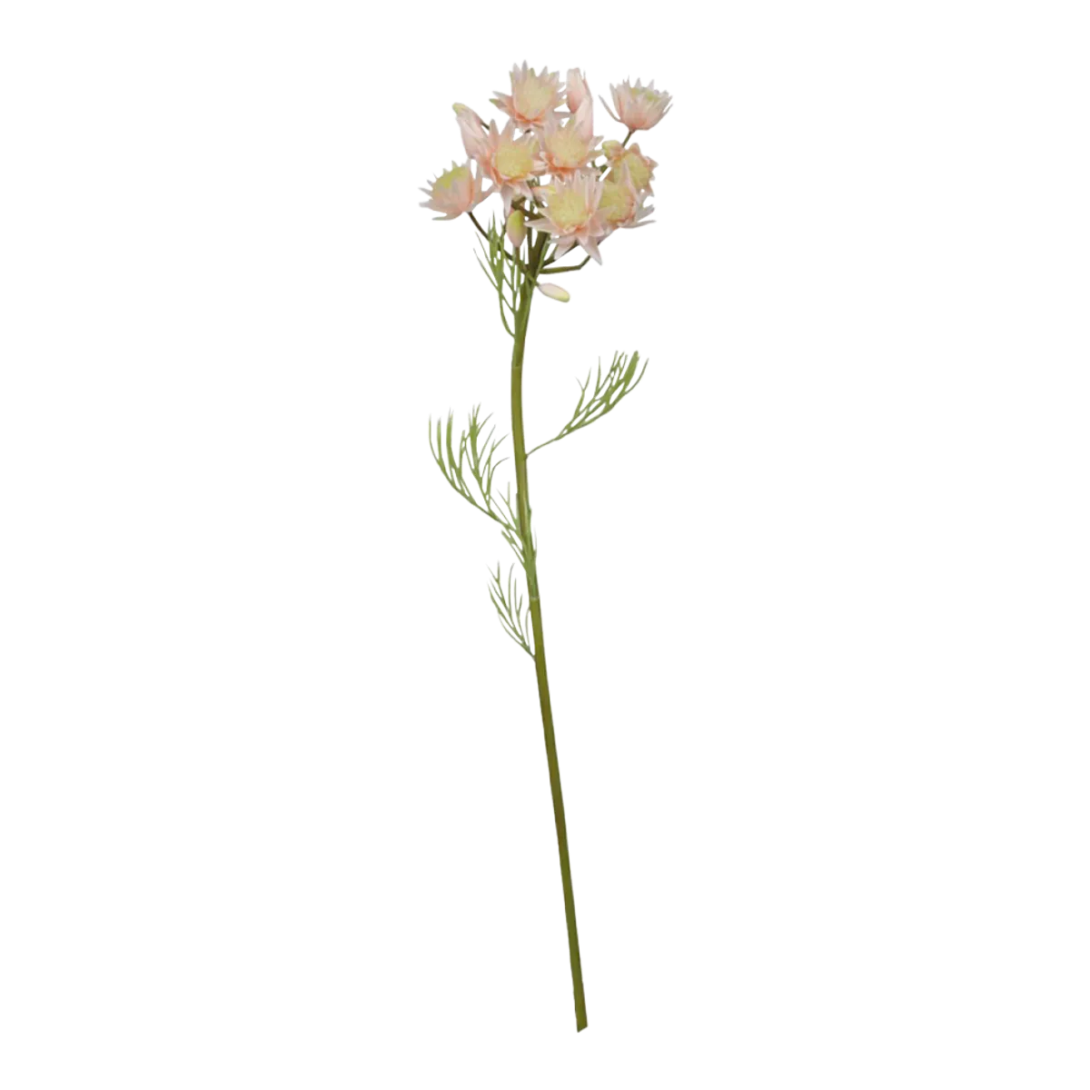 FLEUR Grøftekantsblomst rosa