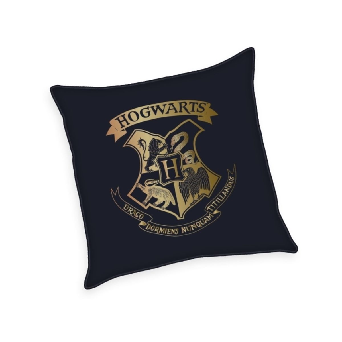 Harry Potter Pude Med Guld Print