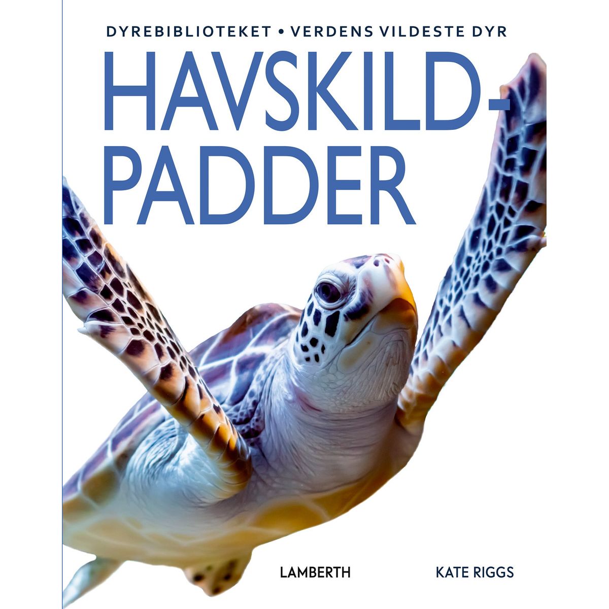 Havskildpadder