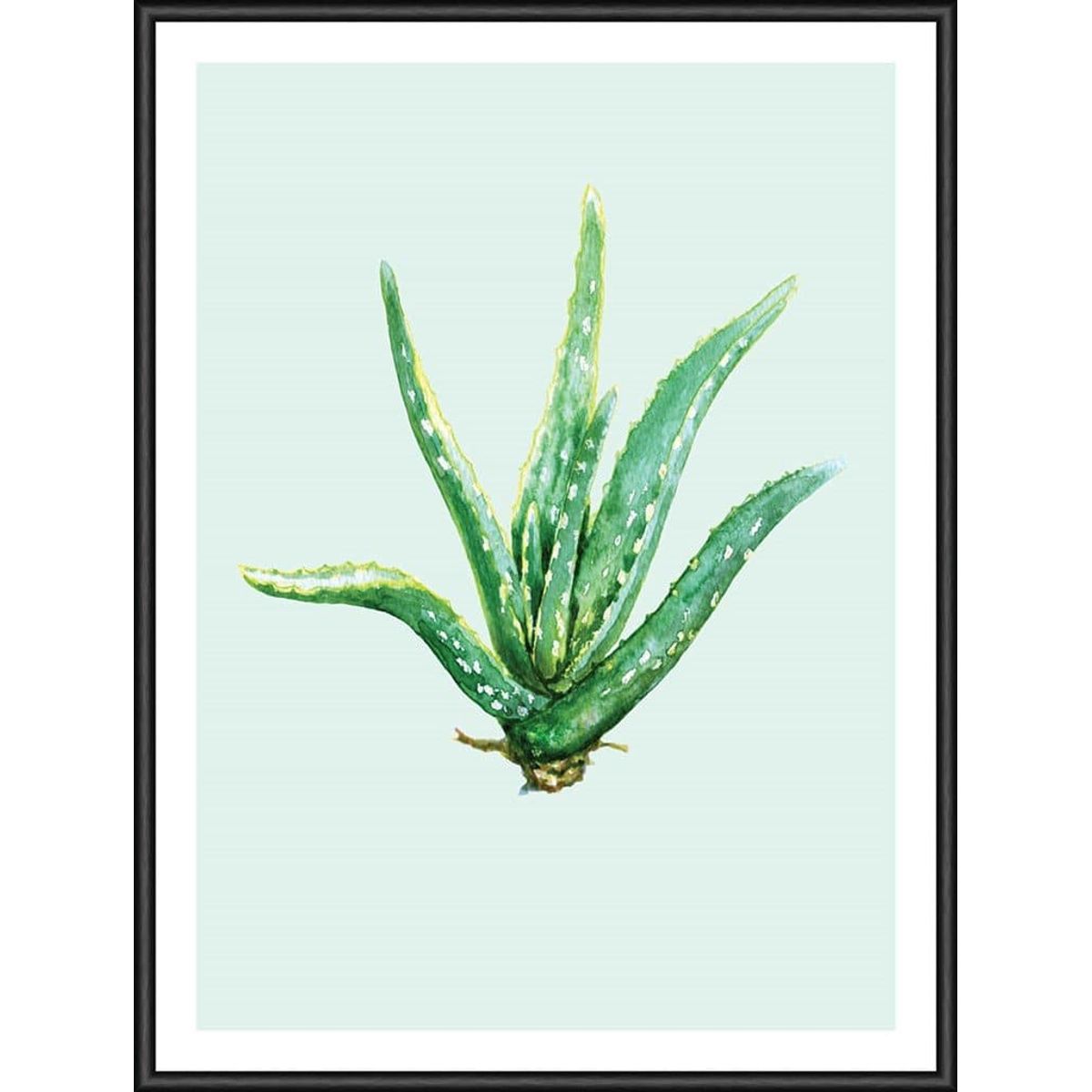 Heaven on 3rd Aloe Vera 30x40