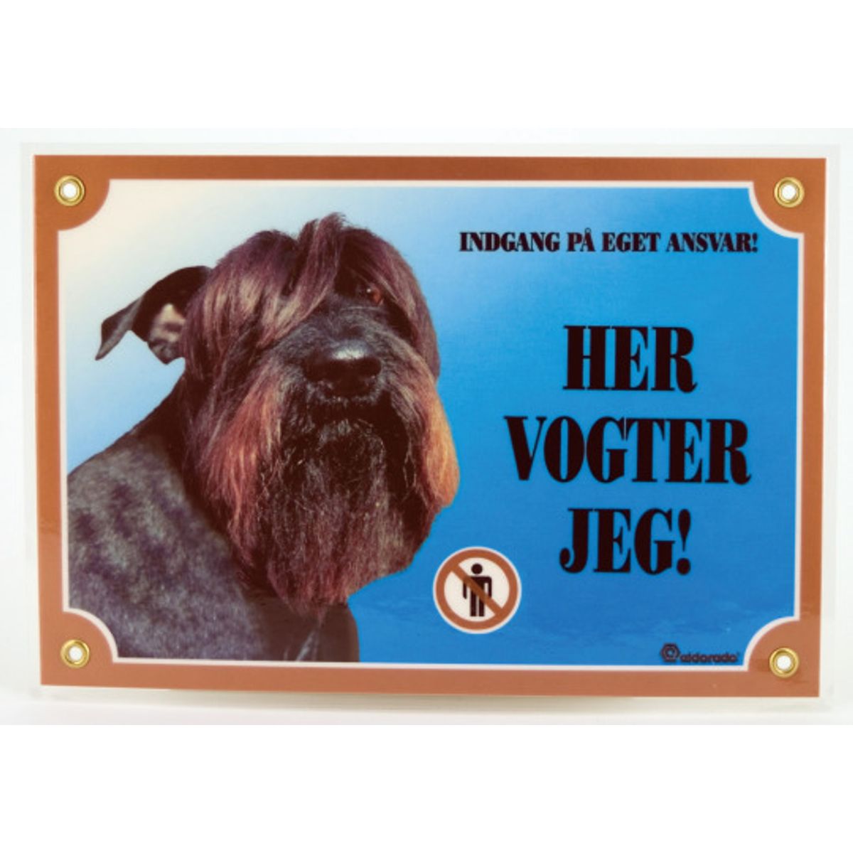 Her vogter jeg Schnauzer