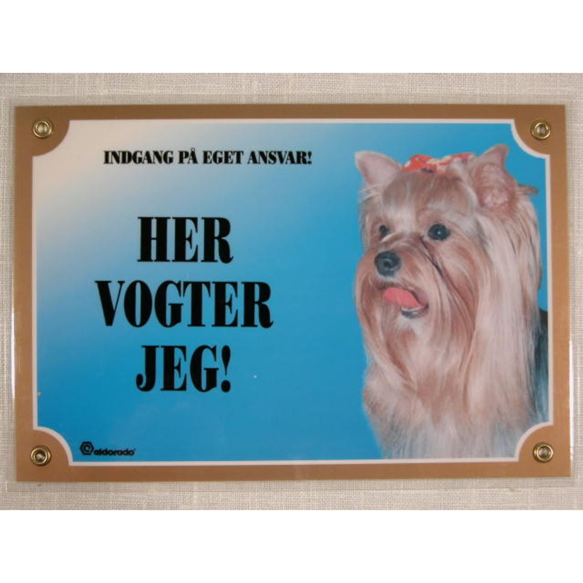 Her vogter jeg Yorkshire Terrier