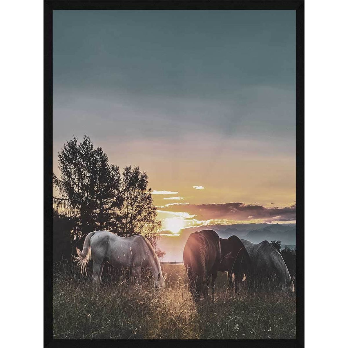 Heste plakat - Heste i solnedgang