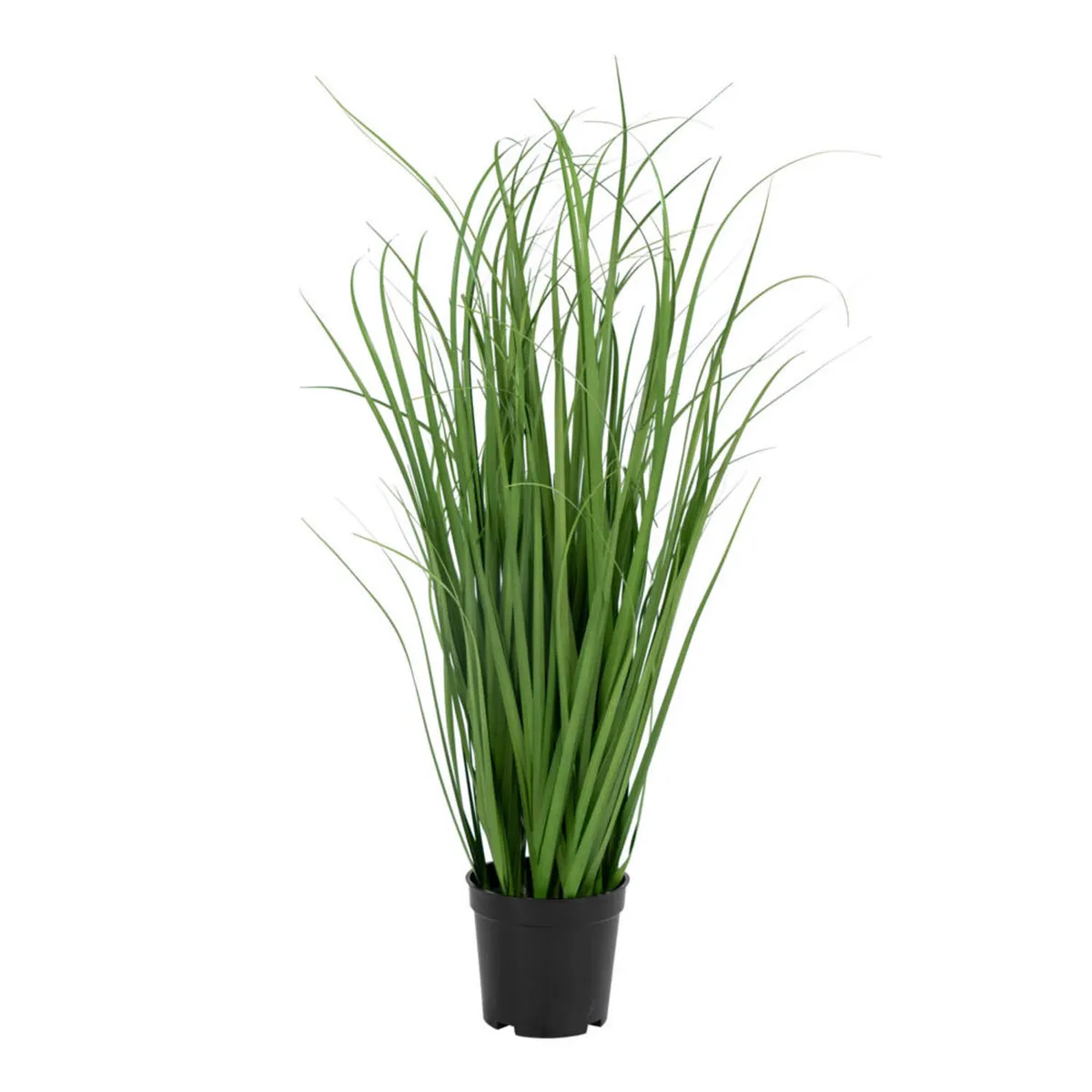 HOUSE NORDIC Poa Grass kunstig plante - grøn PE plastik (H:68)