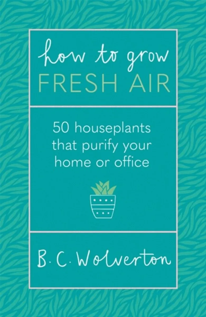 How To Grow Fresh Air