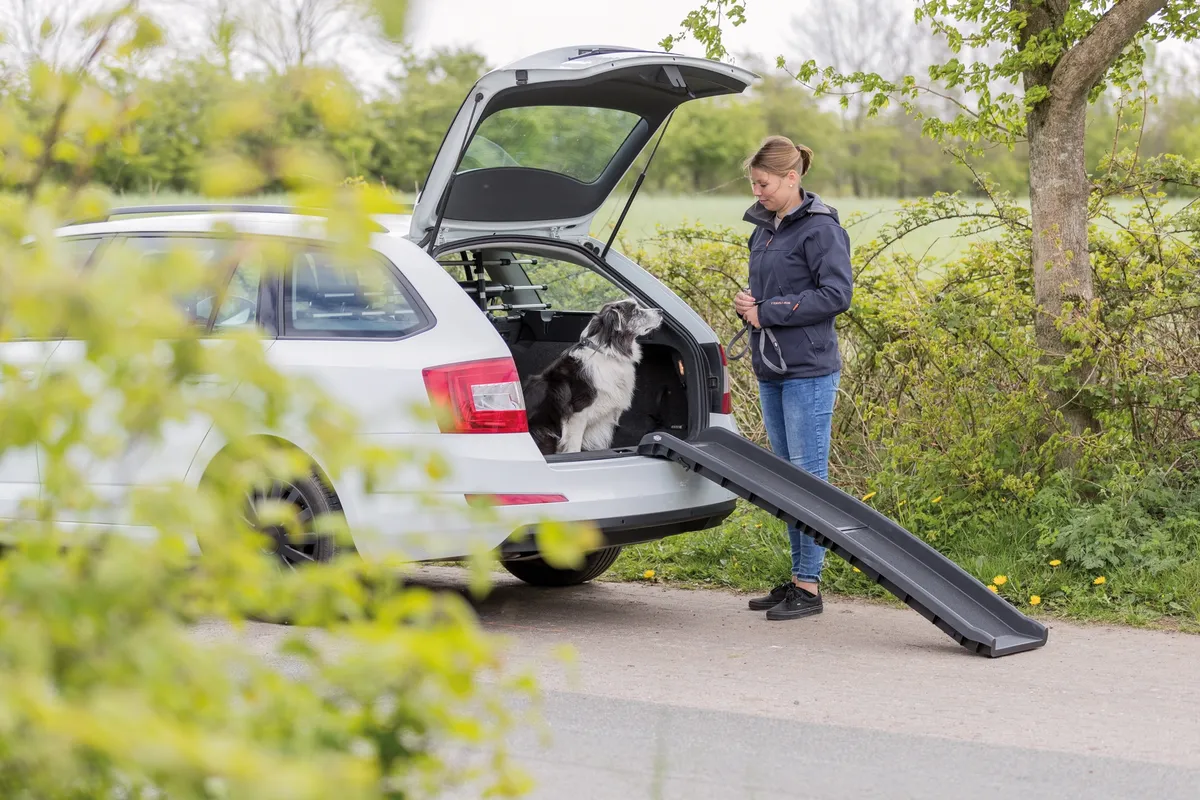 Hundens rampe til bilen. "Petwalk" foldbar bilrampe i plast