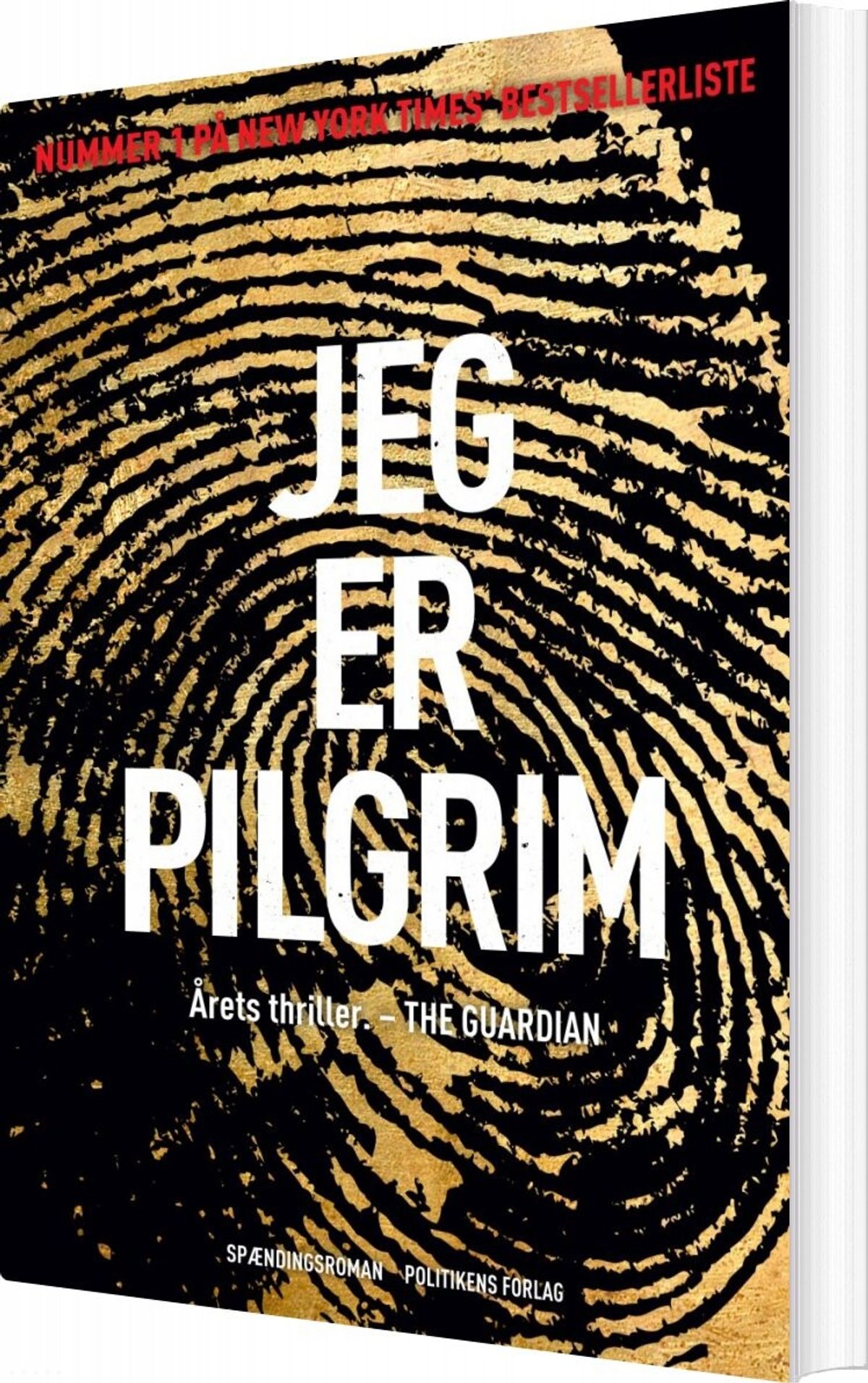 Jeg Er Pilgrim - Terry Hayes - Bog