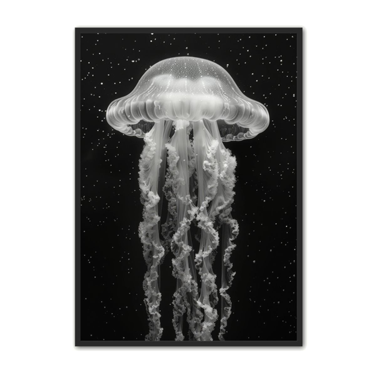 Jellyfish Plakat 11