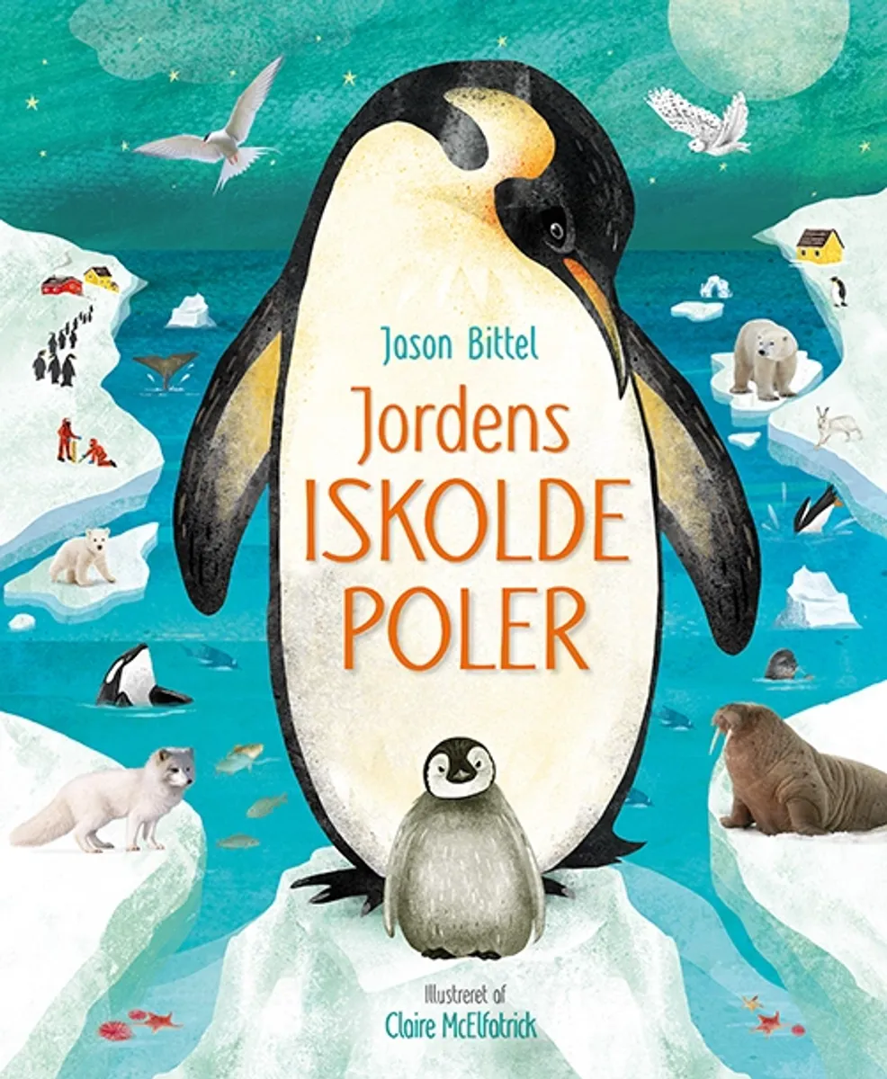 Jordens iskolde poler