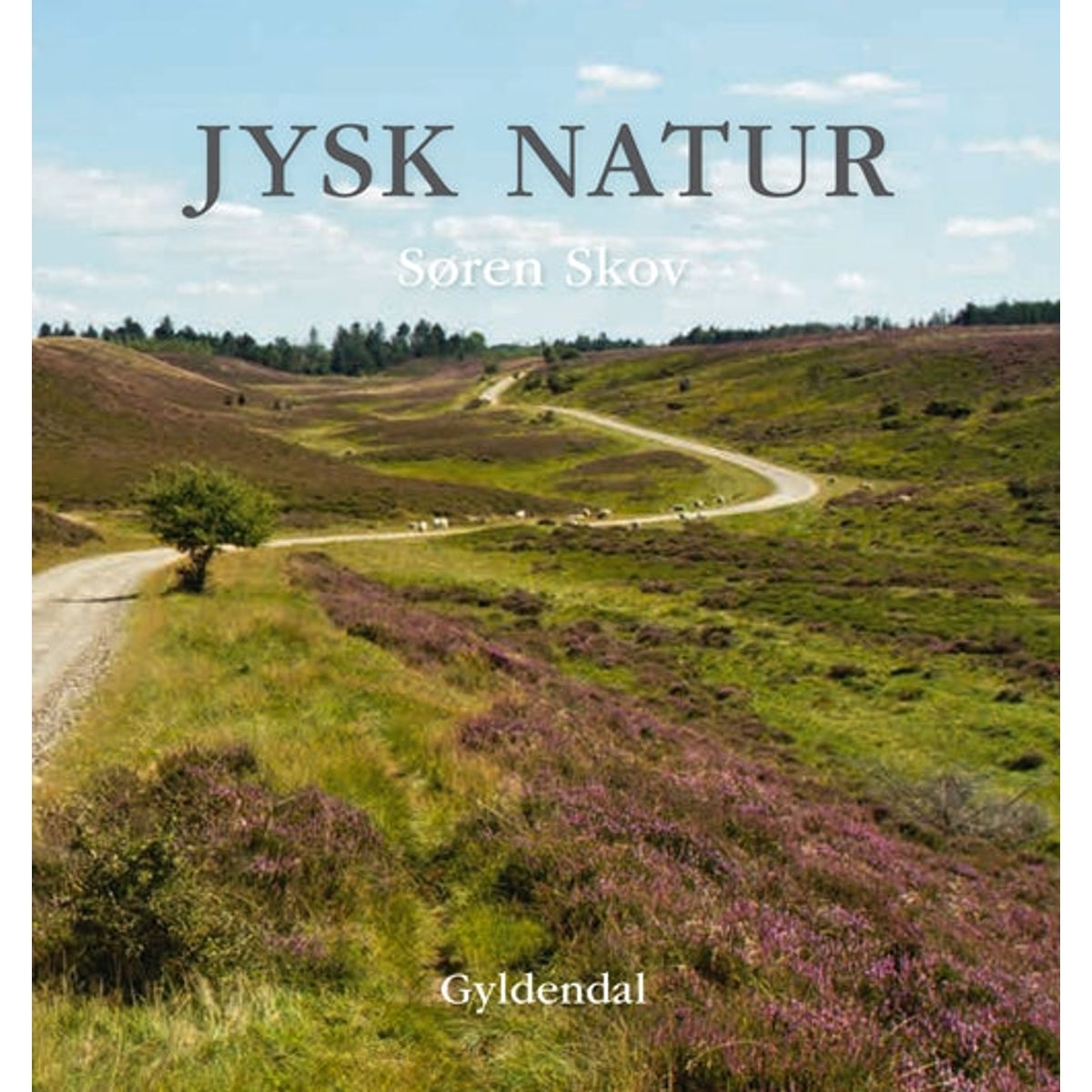 Jysk natur