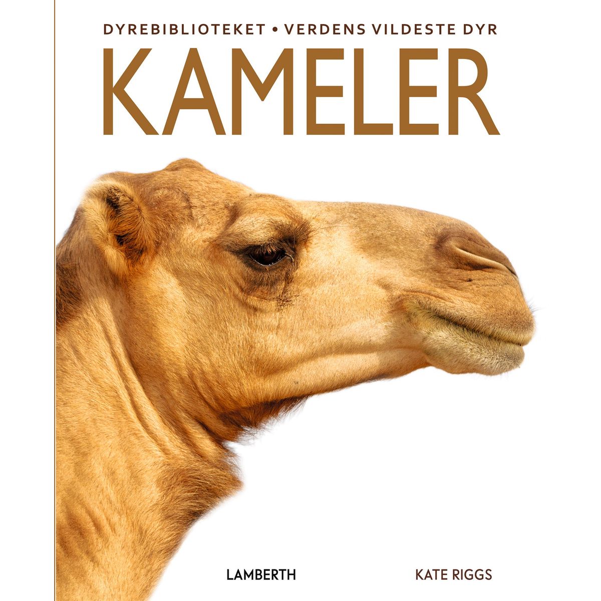 Kameler