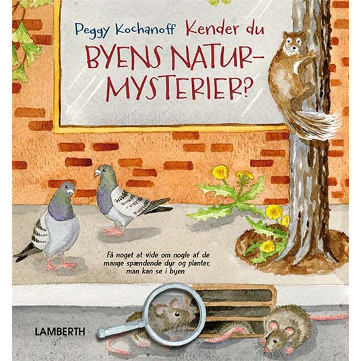 Kender du byens naturmysterier?