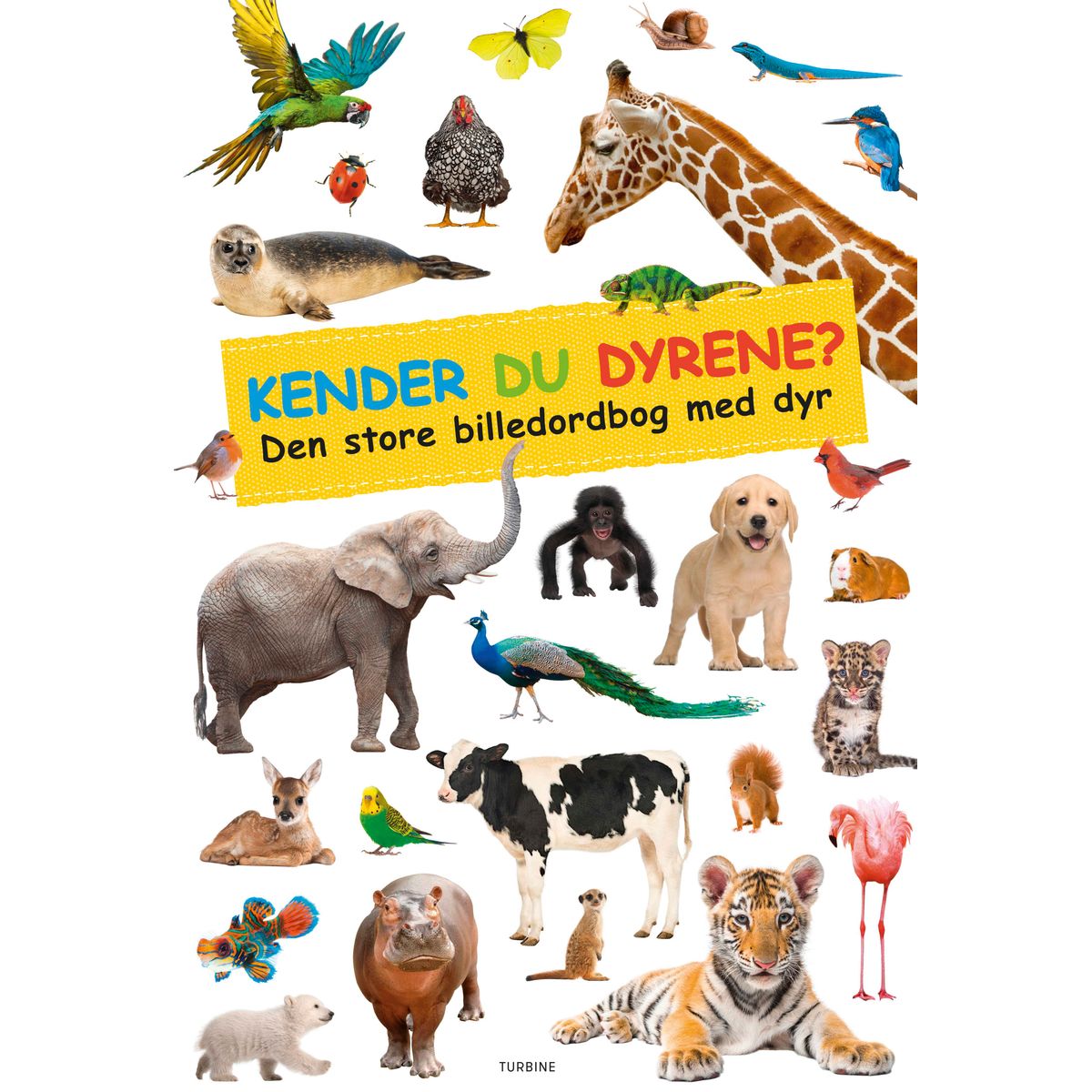 Kender du dyrene?