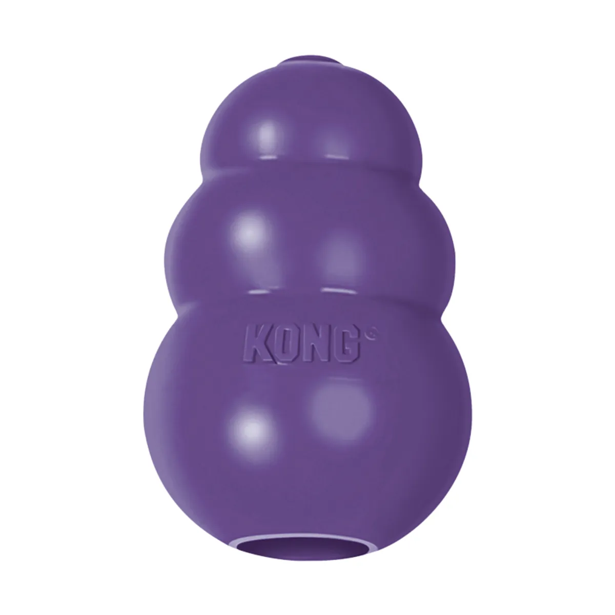 KONG Senior, large