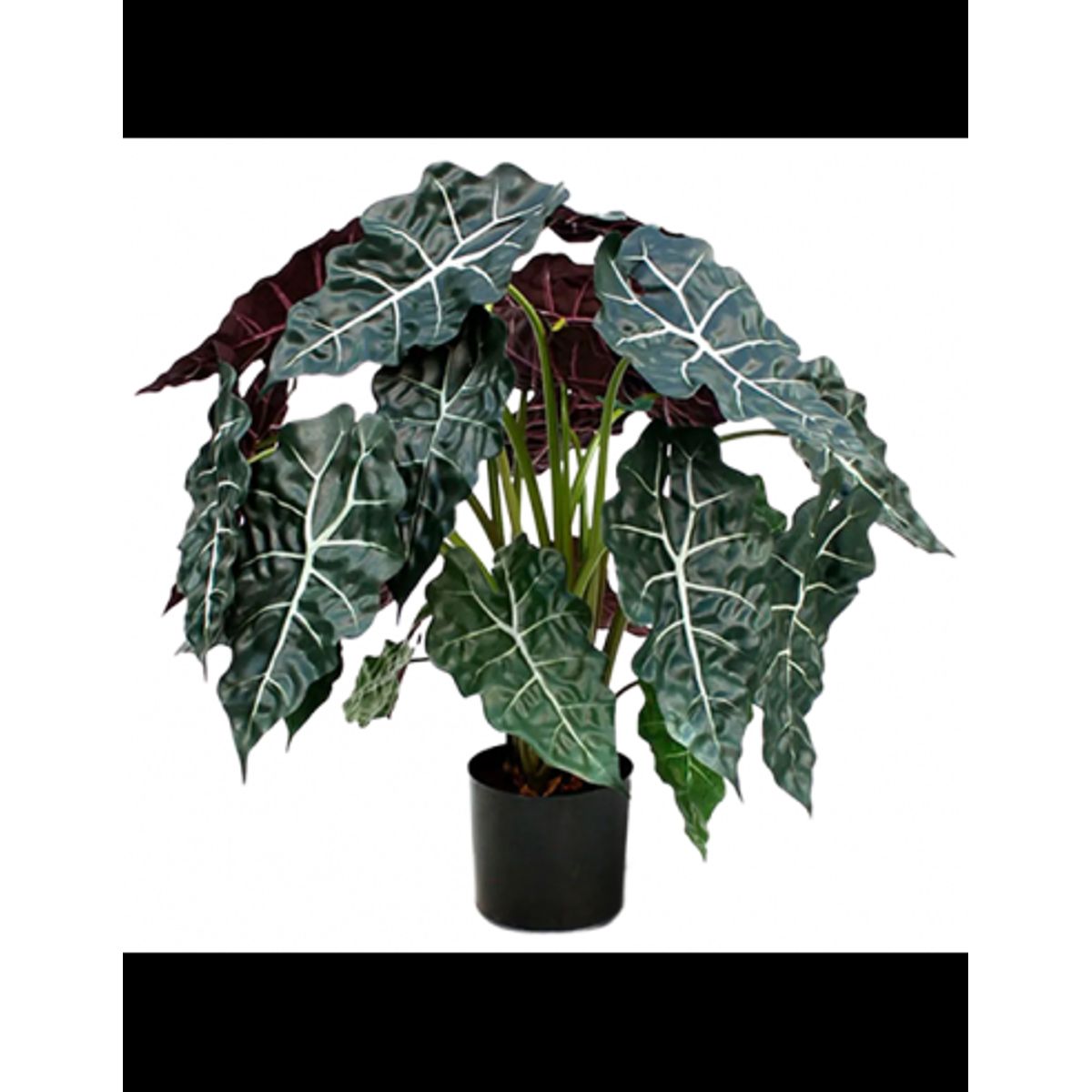 Kunstig Alocasia Polly plante H75 cm