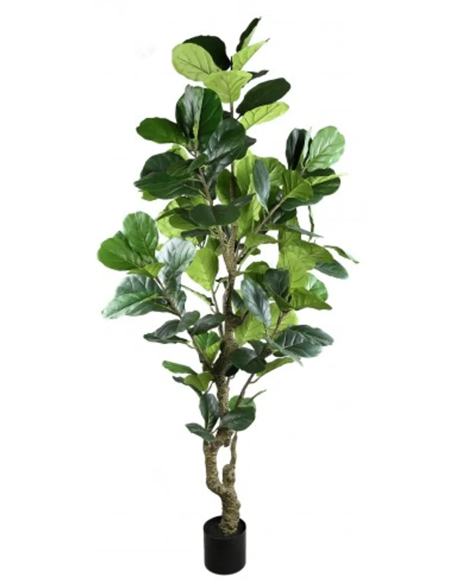 Kunstig ficus H220 cm - Grøn