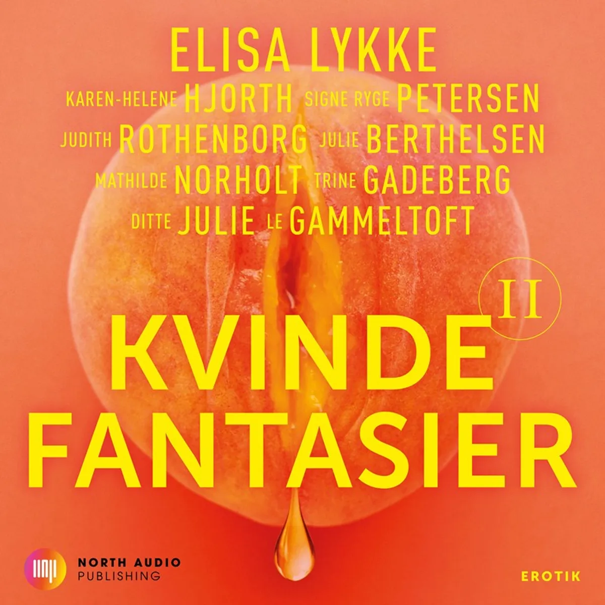 Kvindefantasier II