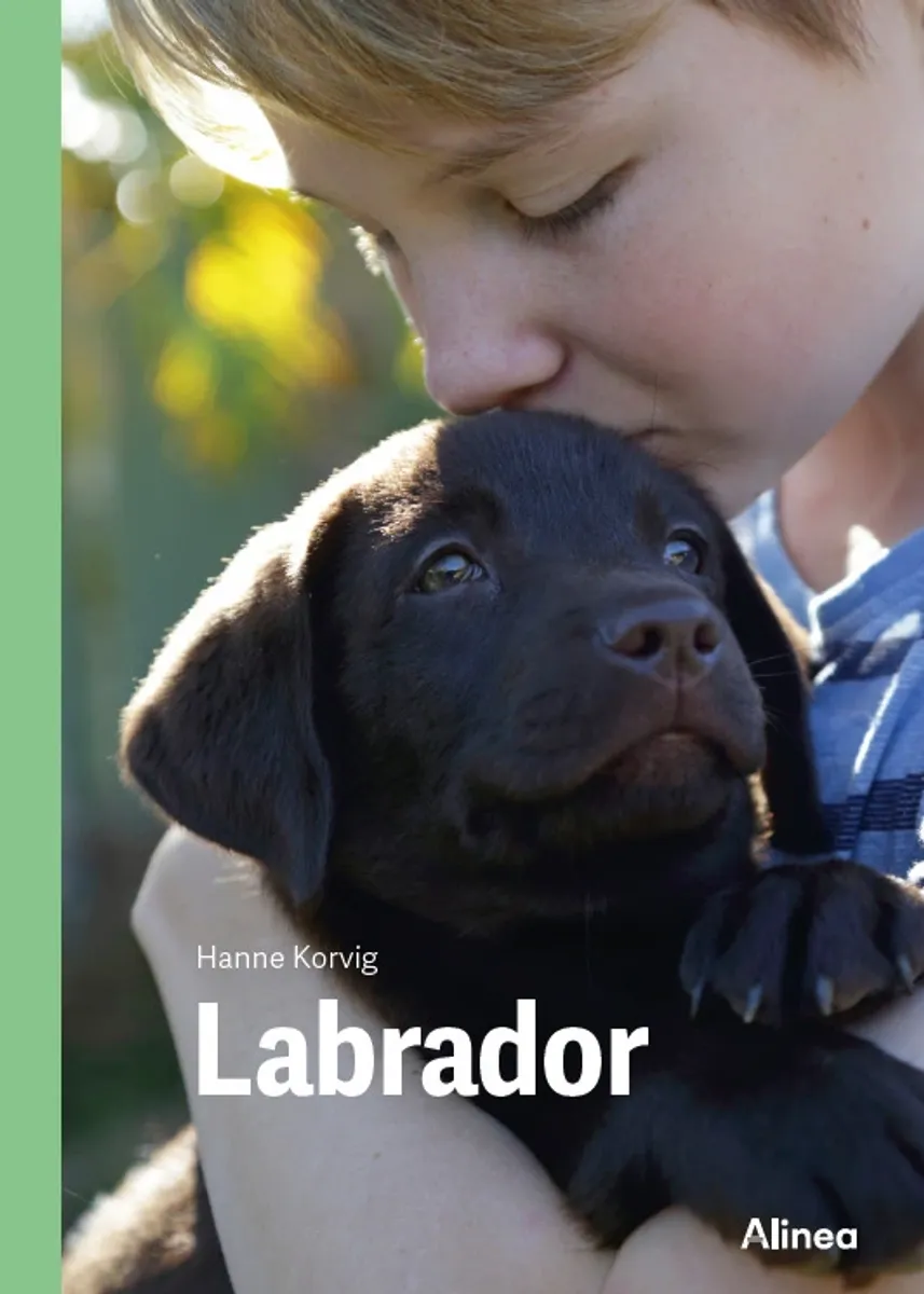 Labrador, Grøn Fagklub