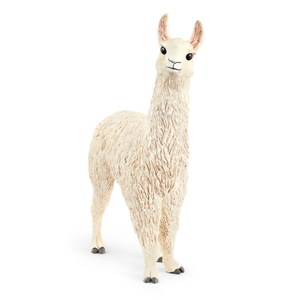 Lama (One size)