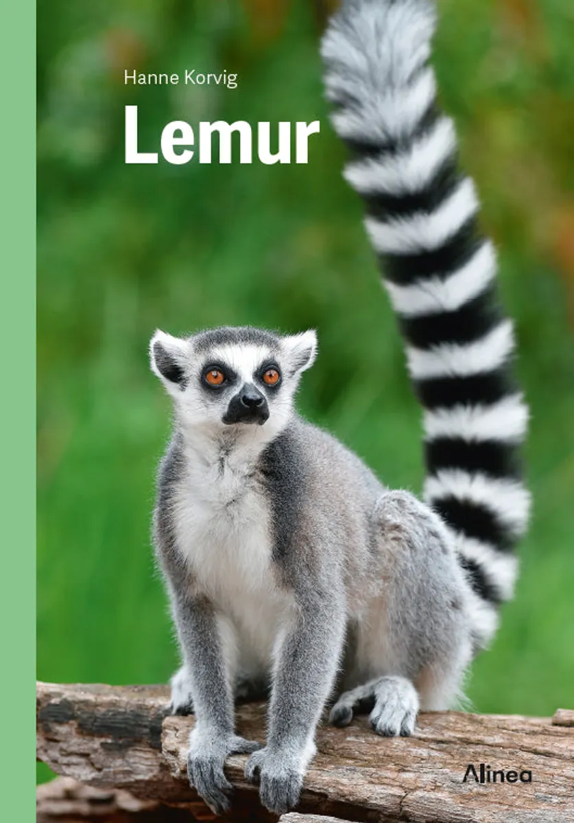 Lemur, Grøn Fagklub